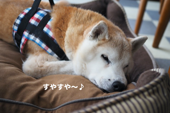 12日ブログ２