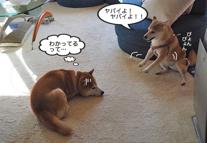 7日ブログ３