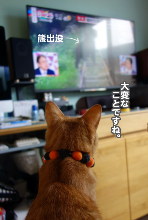 25日ブログ４