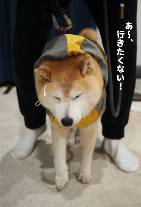 12日ブログ６