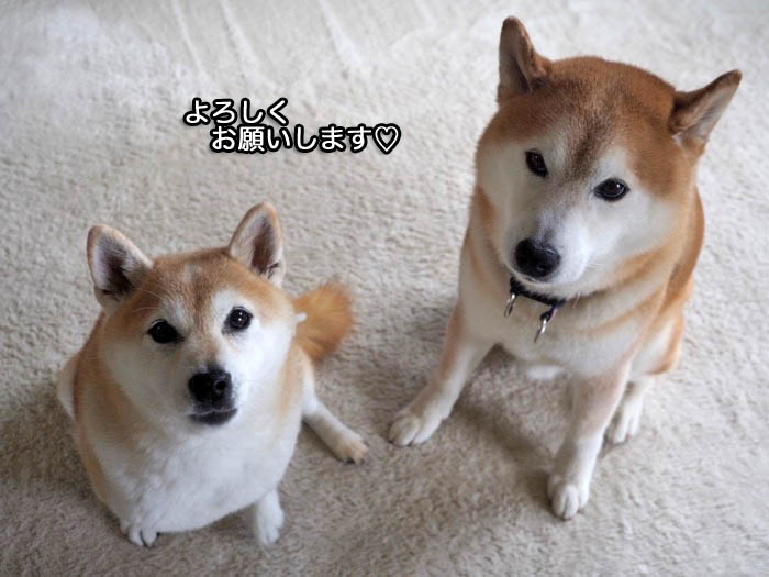3日ブログ３