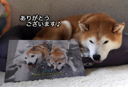 4日夜ブログ１１