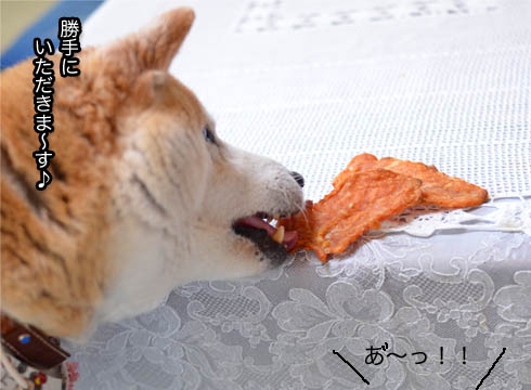 29日ブログ3.jpg