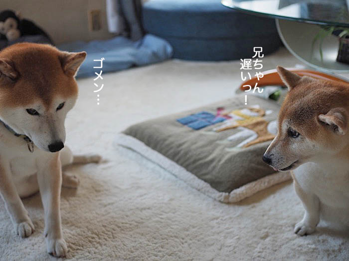6日ブログ１１