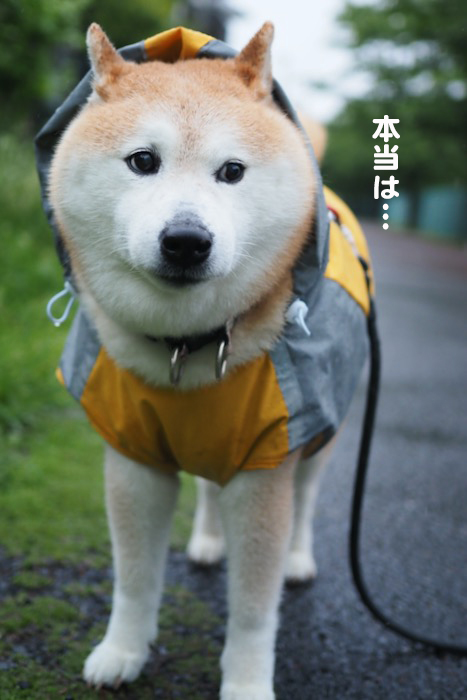 1日夜ブログ４