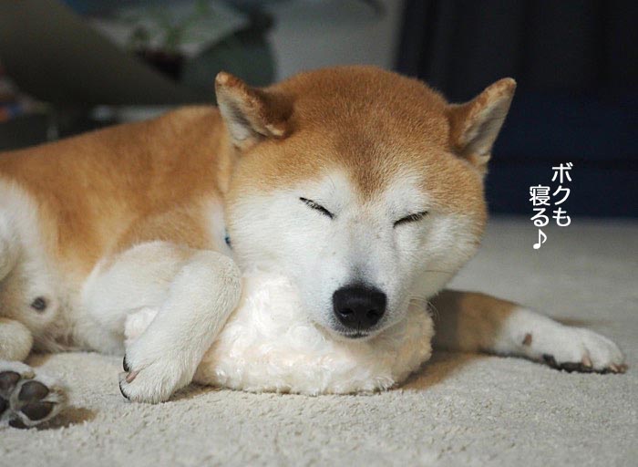8日夜ブログ５