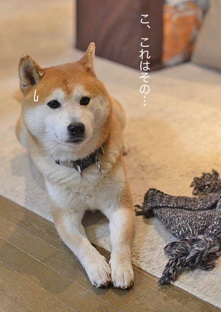 27日ブログ4