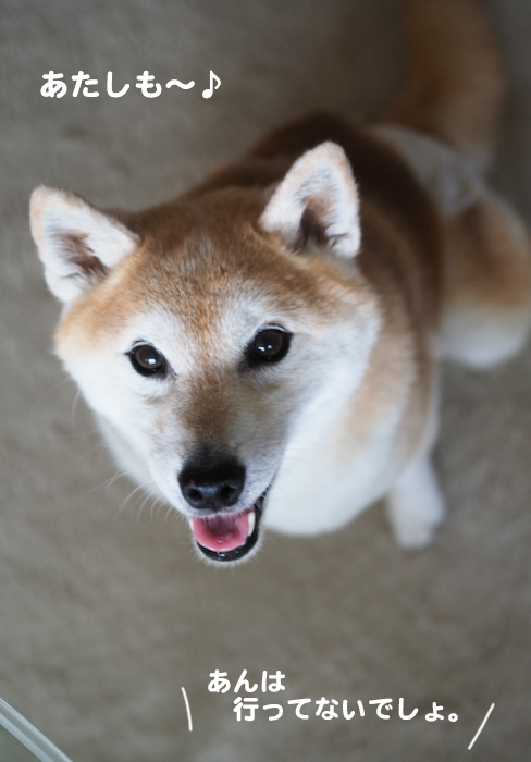 31日夕ブログ７