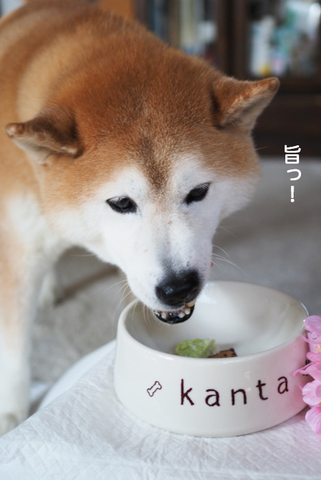 3日夜ブログ１２