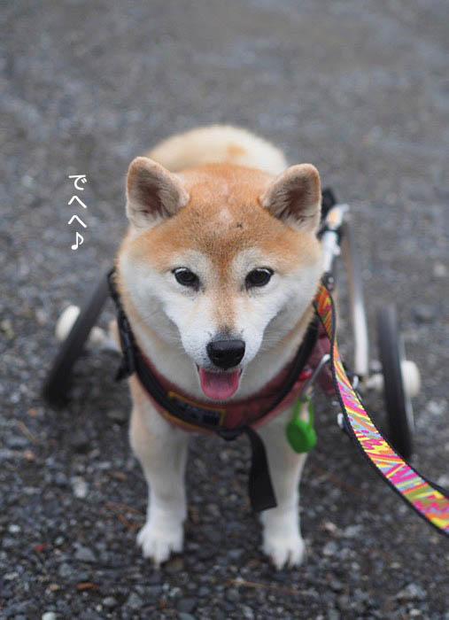 28日ブログ３