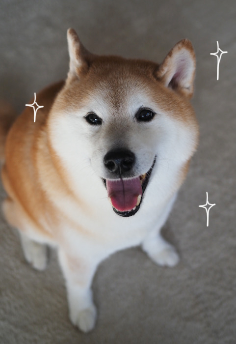 20日夕ブログ３