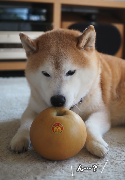 28日ブログ３