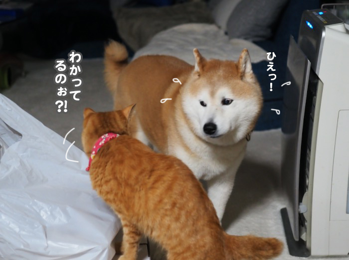 4日ブログ６