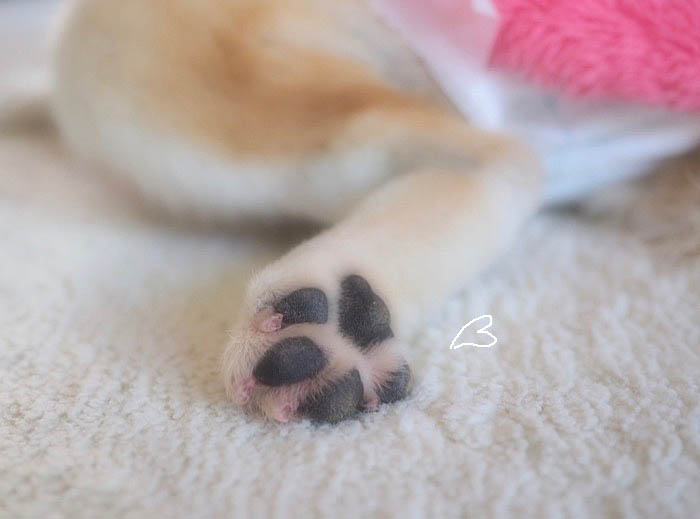 15日ブログ７