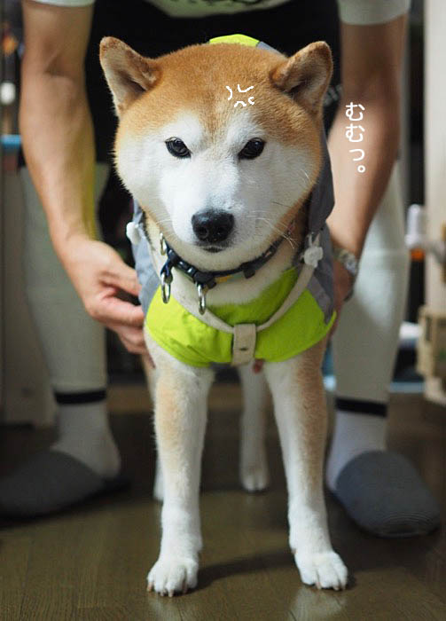 30日夜ブログ２