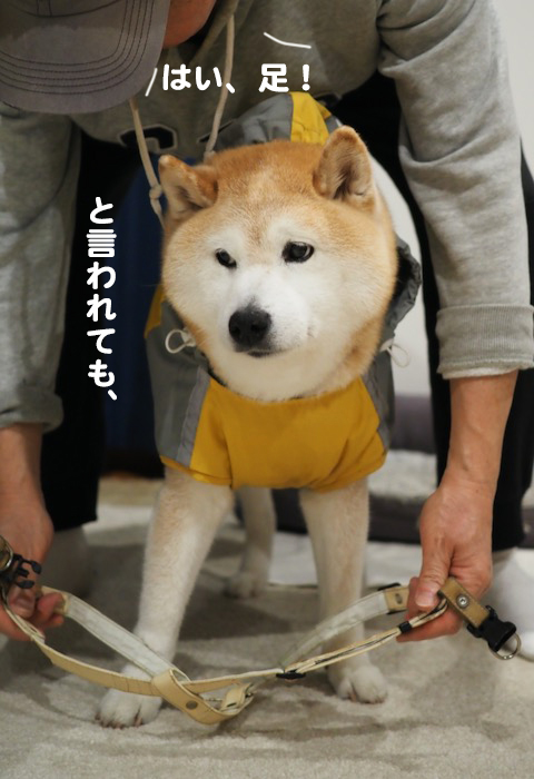12日ブログ３