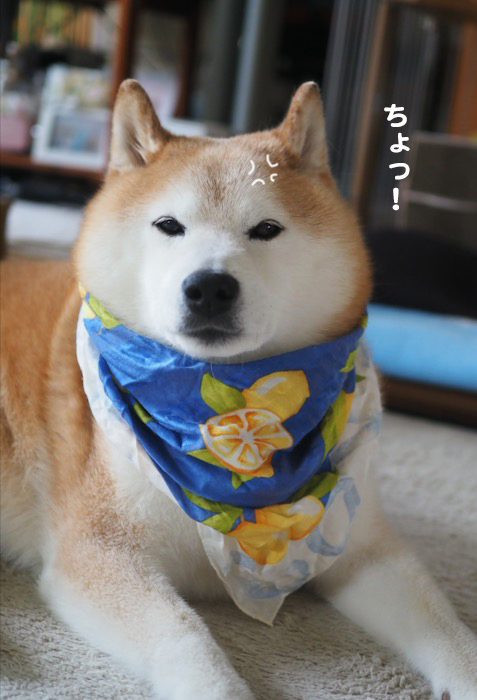 21日ブログ5