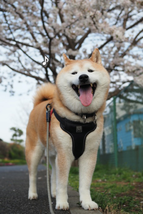7日夕ブログ５