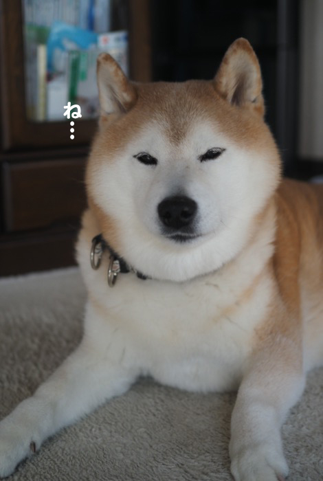 31日ブログ１