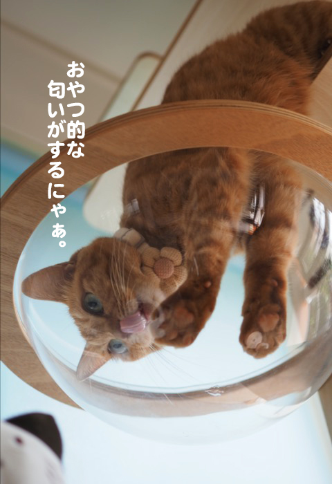 7日夕ブログ６