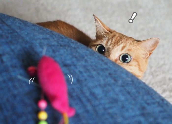 12日ブログ２