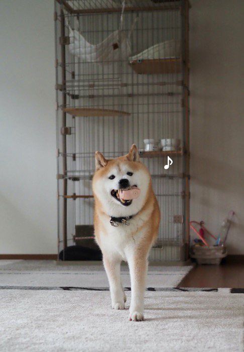 16日夕ブログ５