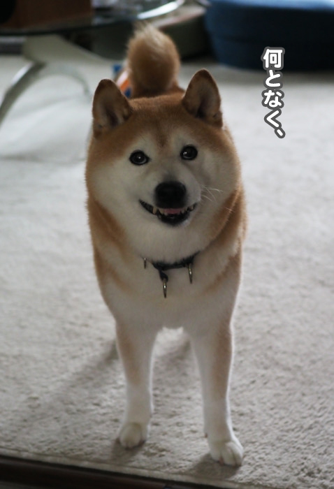 14日ブログ３