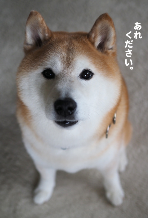 12日ブログ２
