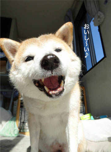 23日ブログ4.jpg