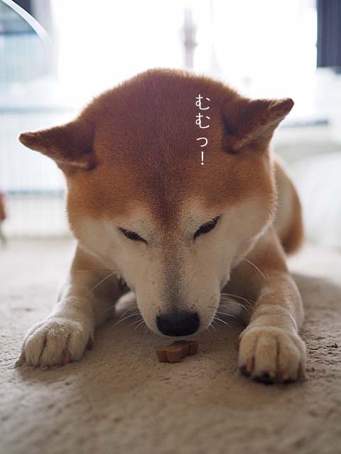 31日ブログ5