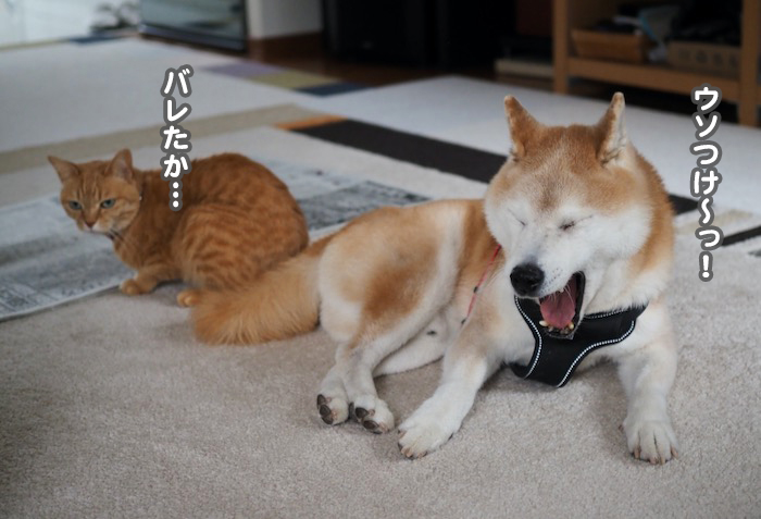 22日夜ブログ４