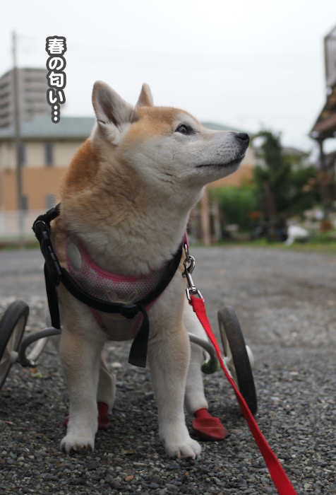 29日夜ブログ７