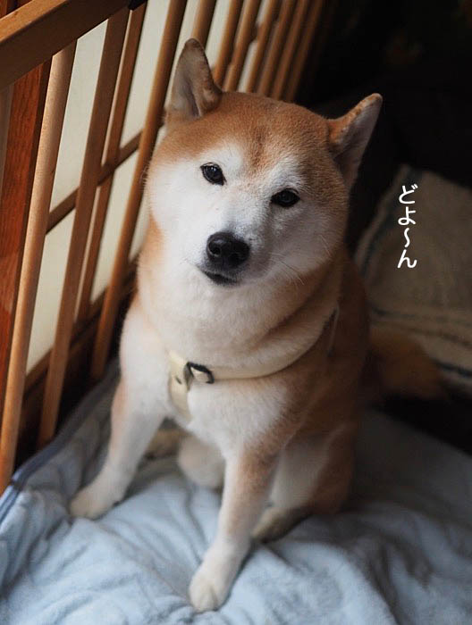 27日朝ブログ２