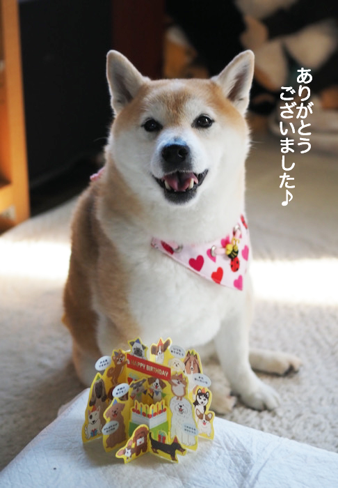 5日夜ブログ４