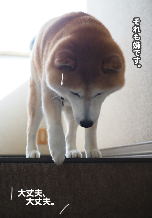 20日夕ブログ７