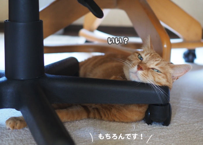28日午前ブログ３