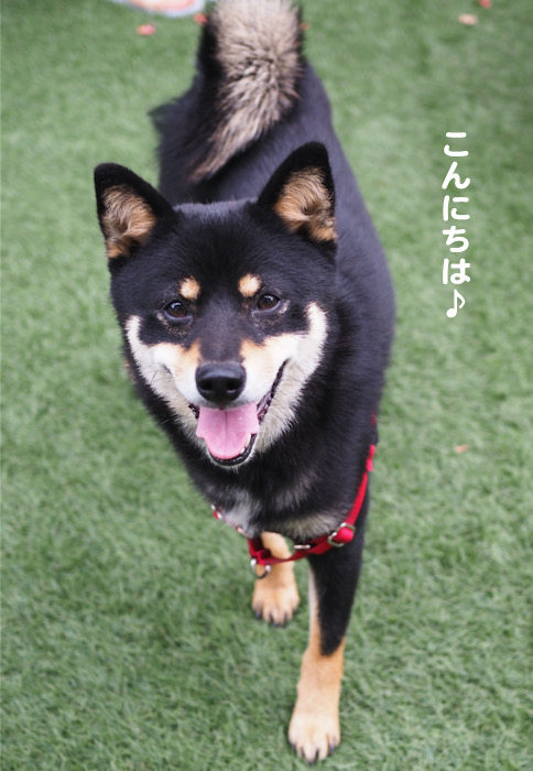6日夕ブログ４