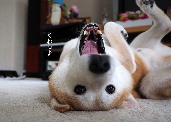 13日ブログ６