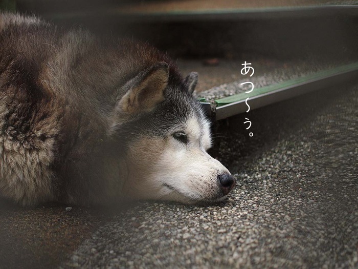 23日ブログ3