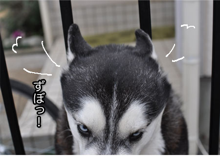 18日ブログ９.jpg
