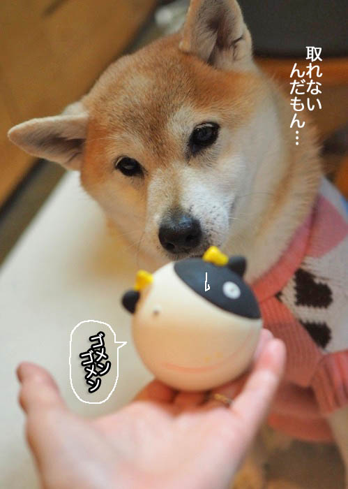 4日夜ブログ５