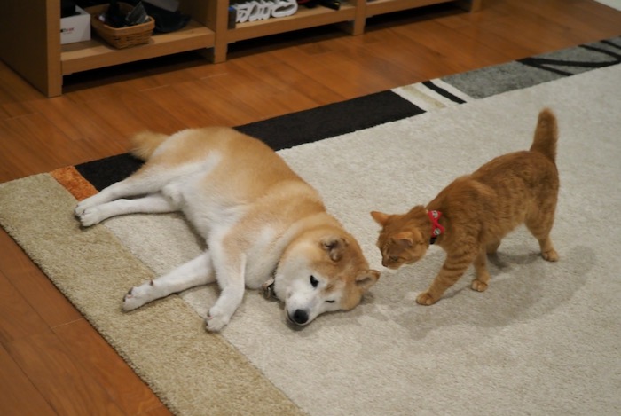 7日午前ブログ３