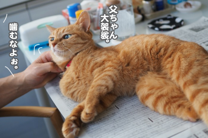 3日夕ブログ７