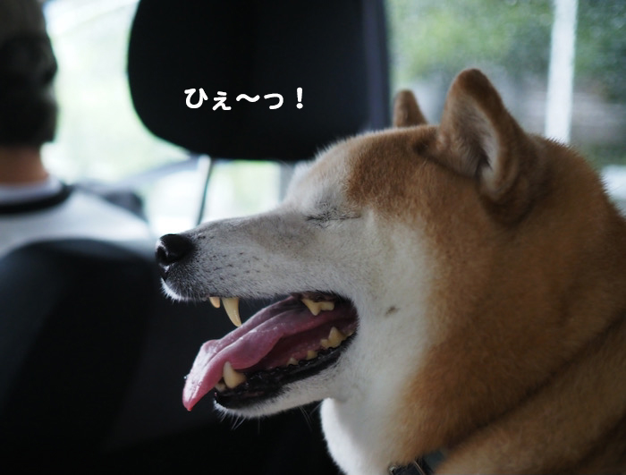 6日午前ブログ４