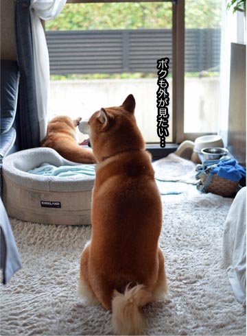 25日ブログ2.jpg