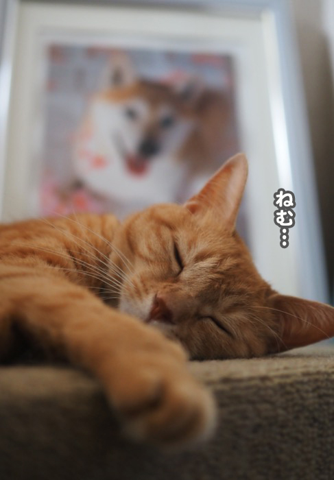 31日夕ブログ５