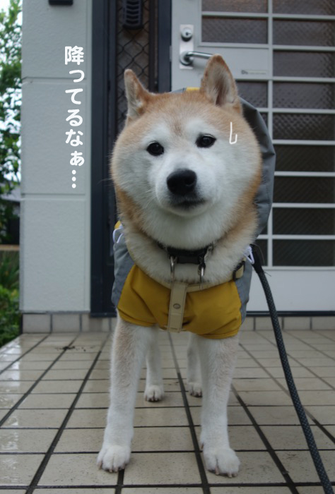 16日夜ブログ４