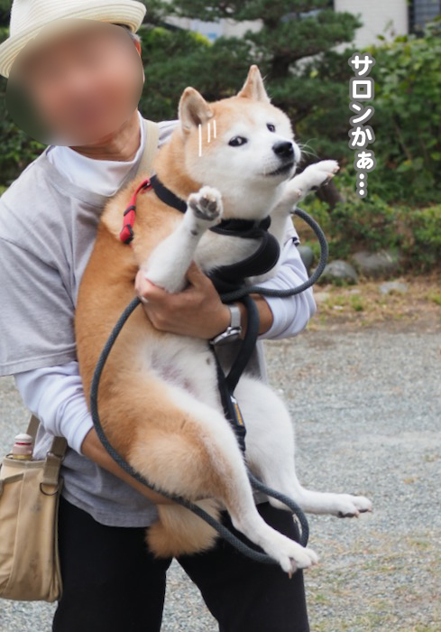 15日ブログ４