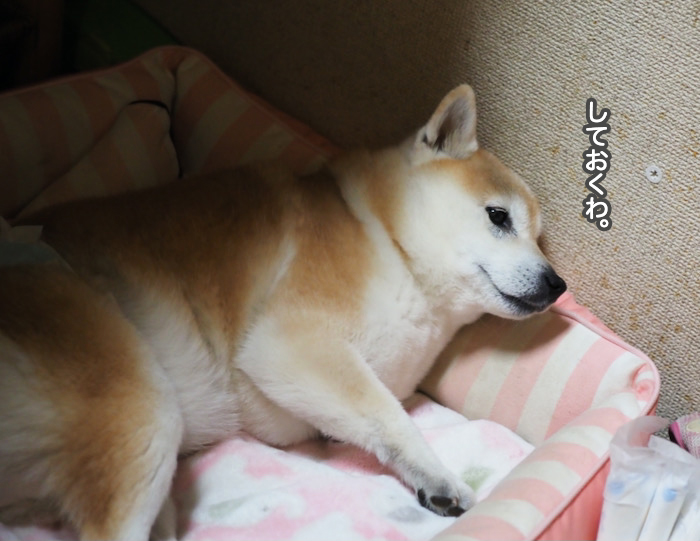 24日夜ブログ１１