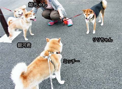25日ブログ5.jpg
